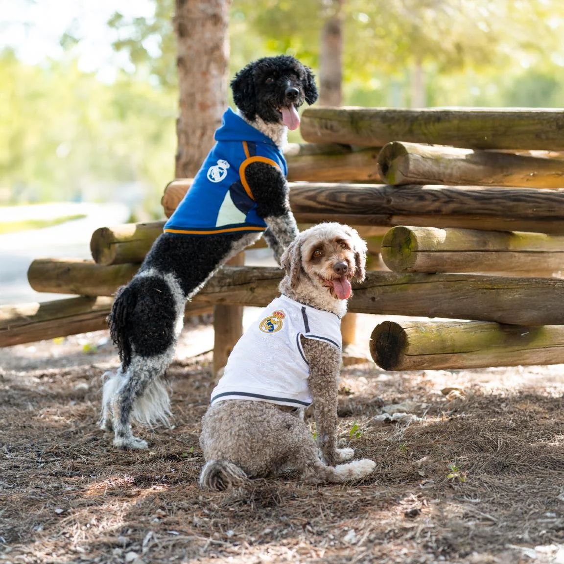 Dog T-Shirt XXS White - Image 3